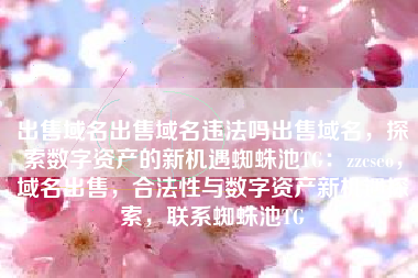 出售域名出售域名违法吗出售域名，探索数字资产的新机遇蜘蛛池TG：zzcseo，域名出售，合法性与数字资产新机遇探索，联系蜘蛛池TG