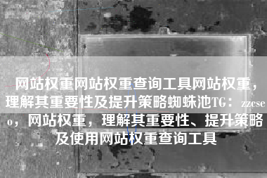 网站权重网站权重查询工具网站权重，理解其重要性及提升策略蜘蛛池TG：zzcseo，网站权重，理解其重要性、提升策略及使用网站权重查询工具