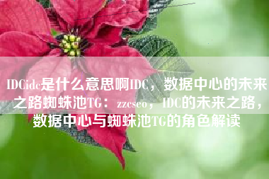 IDCidc是什么意思啊IDC，数据中心的未来之路蜘蛛池TG：zzcseo，IDC的未来之路，数据中心与蜘蛛池TG的角色解读