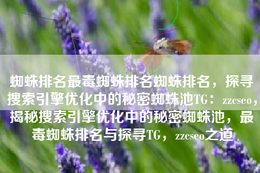 蜘蛛排名最毒蜘蛛排名蜘蛛排名，探寻搜索引擎优化中的秘密蜘蛛池TG：zzcseo，揭秘搜索引擎优化中的秘密蜘蛛池，最毒蜘蛛排名与探寻TG，zzcseo之道