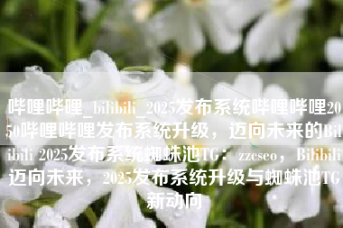 哔哩哔哩_bilibili_2025发布系统哔哩哔哩2050哔哩哔哩发布系统升级，迈向未来的Bilibili 2025发布系统蜘蛛池TG：zzcseo，Bilibili迈向未来，2025发布系统升级与蜘蛛池TG新动向
