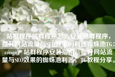 站群程序站群程序怎么安装站群程序，提升网站流量与SEO效果的利器蜘蛛池TG：zzcseo，站群程序安装指南，提升网站流量与SEO效果的蜘蛛池利器，TG教程分享。