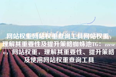 网站权重网站权重查询工具网站权重，理解其重要性及提升策略蜘蛛池TG：zzcseo，网站权重，理解其重要性、提升策略及使用网站权重查询工具