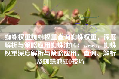 蜘蛛权重蜘蛛权重查询蜘蛛权重，深度解析与策略应用蜘蛛池TG：zzcseo，蜘蛛权重深度解析与策略应用，查询、解析及蜘蛛池SEO技巧