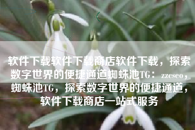 软件下载软件下载商店软件下载，探索数字世界的便捷通道蜘蛛池TG：zzcseo，蜘蛛池TG，探索数字世界的便捷通道，软件下载商店一站式服务