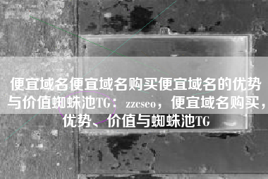 便宜域名便宜域名购买便宜域名的优势与价值蜘蛛池TG：zzcseo，便宜域名购买，优势、价值与蜘蛛池TG