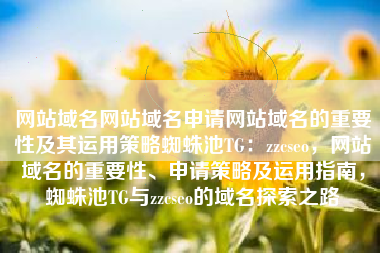 网站域名网站域名申请网站域名的重要性及其运用策略蜘蛛池TG：zzcseo，网站域名的重要性、申请策略及运用指南，蜘蛛池TG与zzcseo的域名探索之路