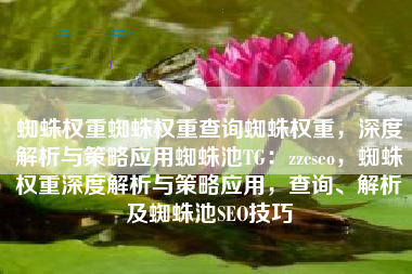 蜘蛛权重蜘蛛权重查询蜘蛛权重，深度解析与策略应用蜘蛛池TG：zzcseo，蜘蛛权重深度解析与策略应用，查询、解析及蜘蛛池SEO技巧
