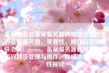 备案服务器备案服务器到期域名还能用吗备案服务器，重要性、操作与管理蜘蛛池TG：zzcseo，备案服务器到期域名使用问题及管理与操作，蜘蛛池TG的重要性探讨