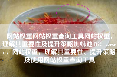网站权重网站权重查询工具网站权重，理解其重要性及提升策略蜘蛛池TG：zzcseo，网站权重，理解其重要性、提升策略及使用网站权重查询工具