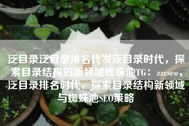 泛目录泛目录排名代发泛目录时代，探索目录结构的新领域蜘蛛池TG：zzcseo，泛目录排名时代，探索目录结构新领域与蜘蛛池SEO策略