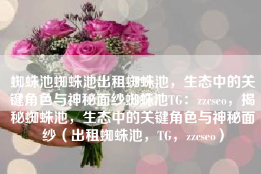 蜘蛛池蜘蛛池出租蜘蛛池，生态中的关键角色与神秘面纱蜘蛛池TG：zzcseo，揭秘蜘蛛池，生态中的关键角色与神秘面纱（出租蜘蛛池，TG，zzcseo）