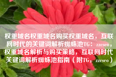 权重域名权重域名购买权重域名，互联网时代的关键词解析蜘蛛池TG：zzcseo，权重域名解析与购买策略，互联网时代关键词解析蜘蛛池指南（附TG，zzcseo）