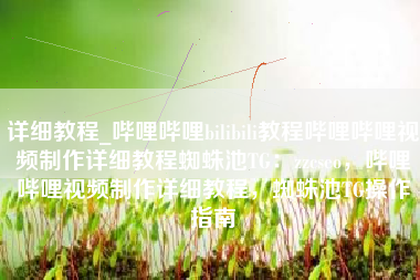 详细教程_哔哩哔哩bilibili教程哔哩哔哩视频制作详细教程蜘蛛池TG：zzcseo，哔哩哔哩视频制作详细教程，蜘蛛池TG操作指南