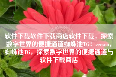 软件下载软件下载商店软件下载，探索数字世界的便捷通道蜘蛛池TG：zzcseo，蜘蛛池TG，探索数字世界的便捷通道与软件下载商店