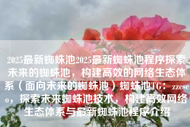 2025最新蜘蛛池2025最新蜘蛛池程序探索未来的蜘蛛池，构建高效的网络生态体系（面向未来的蜘蛛池）蜘蛛池TG：zzcseo，探索未来蜘蛛池技术，构建高效网络生态体系与最新蜘蛛池程序介绍