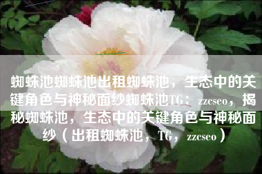 蜘蛛池蜘蛛池出租蜘蛛池，生态中的关键角色与神秘面纱蜘蛛池TG：zzcseo，揭秘蜘蛛池，生态中的关键角色与神秘面纱（出租蜘蛛池，TG，zzcseo）