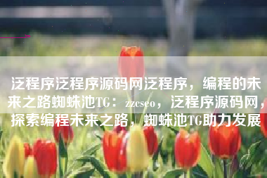 泛程序泛程序源码网泛程序，编程的未来之路蜘蛛池TG：zzcseo，泛程序源码网，探索编程未来之路，蜘蛛池TG助力发展