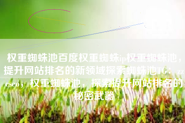 权重蜘蛛池百度权重蜘蛛ip权重蜘蛛池，提升网站排名的新领域探索蜘蛛池TG：zzcseo，权重蜘蛛池，探索提升网站排名的秘密武器