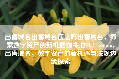 出售域名出售域名违法吗出售域名，探索数字资产的新机遇蜘蛛池TG：zzcseo，出售域名，数字资产的新机遇与法规边缘探索