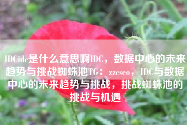IDCidc是什么意思啊IDC，数据中心的未来趋势与挑战蜘蛛池TG：zzcseo，IDC与数据中心的未来趋势与挑战，挑战蜘蛛池的挑战与机遇