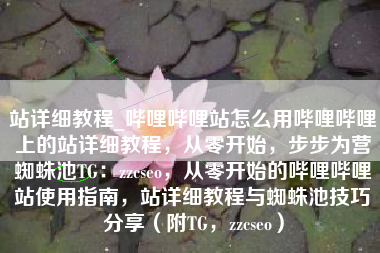 站详细教程_哔哩哔哩站怎么用哔哩哔哩上的站详细教程，从零开始，步步为营蜘蛛池TG：zzcseo，从零开始的哔哩哔哩站使用指南，站详细教程与蜘蛛池技巧分享（附TG，zzcseo）