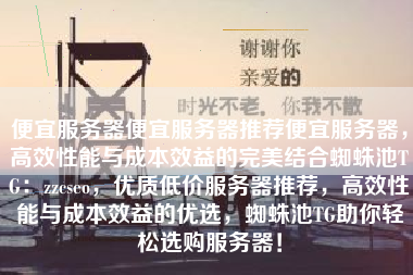 便宜服务器便宜服务器推荐便宜服务器，高效性能与成本效益的完美结合蜘蛛池TG：zzcseo，优质低价服务器推荐，高效性能与成本效益的优选，蜘蛛池TG助你轻松选购服务器！