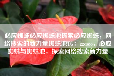 必应蜘蛛必应蜘蛛池探索必应蜘蛛，网络搜索的新力量蜘蛛池TG：zzcseo，必应蜘蛛与蜘蛛池，探索网络搜索新力量