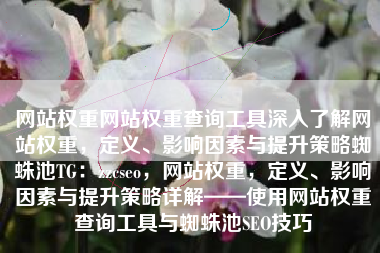 网站权重网站权重查询工具深入了解网站权重，定义、影响因素与提升策略蜘蛛池TG：zzcseo，网站权重，定义、影响因素与提升策略详解——使用网站权重查询工具与蜘蛛池SEO技巧
