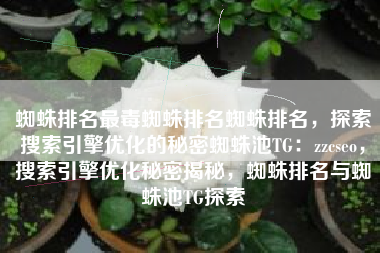 蜘蛛排名最毒蜘蛛排名蜘蛛排名，探索搜索引擎优化的秘密蜘蛛池TG：zzcseo，搜索引擎优化秘密揭秘，蜘蛛排名与蜘蛛池TG探索