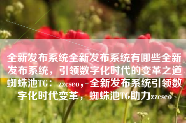全新发布系统全新发布系统有哪些全新发布系统，引领数字化时代的变革之道蜘蛛池TG：zzcseo，全新发布系统引领数字化时代变革，蜘蛛池TG助力zzcseo