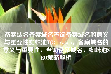 备案域名备案域名查询备案域名的意义与重要性蜘蛛池TG：zzcseo，备案域名的意义与重要性，查询备案域名，蜘蛛池SEO策略解析