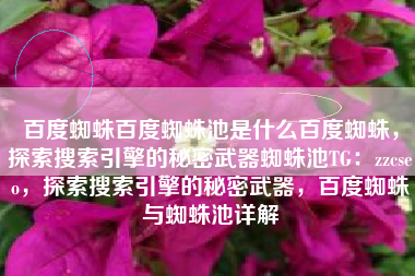 百度蜘蛛百度蜘蛛池是什么百度蜘蛛，探索搜索引擎的秘密武器蜘蛛池TG：zzcseo，探索搜索引擎的秘密武器，百度蜘蛛与蜘蛛池详解