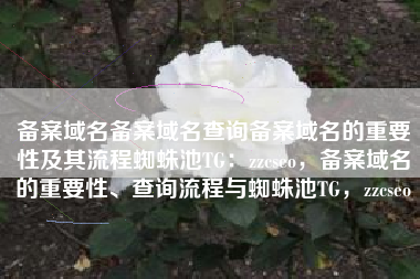 备案域名备案域名查询备案域名的重要性及其流程蜘蛛池TG：zzcseo，备案域名的重要性、查询流程与蜘蛛池TG，zzcseo