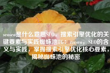 seoseo是什么意思SEO，搜索引擎优化的关键要素与实践蜘蛛池TG：zzcseo，SEO的含义与实践，掌握搜索引擎优化核心要素，揭秘蜘蛛池的秘密