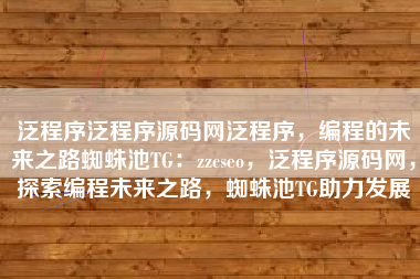 泛程序泛程序源码网泛程序，编程的未来之路蜘蛛池TG：zzcseo，泛程序源码网，探索编程未来之路，蜘蛛池TG助力发展