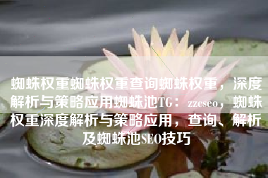 蜘蛛权重蜘蛛权重查询蜘蛛权重，深度解析与策略应用蜘蛛池TG：zzcseo，蜘蛛权重深度解析与策略应用，查询、解析及蜘蛛池SEO技巧