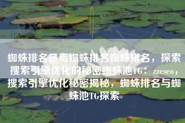 蜘蛛排名最毒蜘蛛排名蜘蛛排名，探索搜索引擎优化的秘密蜘蛛池TG：zzcseo，搜索引擎优化秘密揭秘，蜘蛛排名与蜘蛛池TG探索
