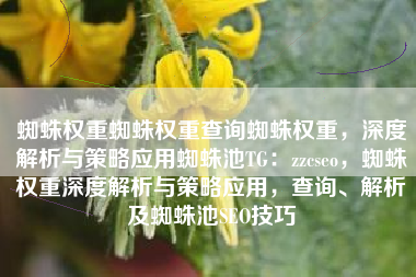 蜘蛛权重蜘蛛权重查询蜘蛛权重，深度解析与策略应用蜘蛛池TG：zzcseo，蜘蛛权重深度解析与策略应用，查询、解析及蜘蛛池SEO技巧