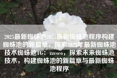 2025最新蜘蛛池2025最新蜘蛛池程序构建蜘蛛池的新篇章，探索2025年最新蜘蛛池技术蜘蛛池TG：zzcseo，探索未来蜘蛛池技术，构建蜘蛛池的新篇章与最新蜘蛛池程序