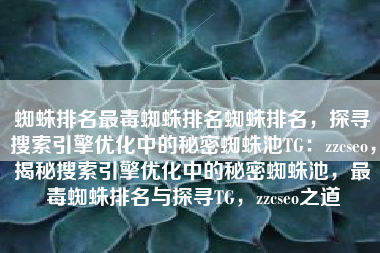 蜘蛛排名最毒蜘蛛排名蜘蛛排名，探寻搜索引擎优化中的秘密蜘蛛池TG：zzcseo，揭秘搜索引擎优化中的秘密蜘蛛池，最毒蜘蛛排名与探寻TG，zzcseo之道