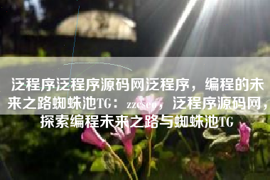 泛程序泛程序源码网泛程序，编程的未来之路蜘蛛池TG：zzcseo，泛程序源码网，探索编程未来之路与蜘蛛池TG