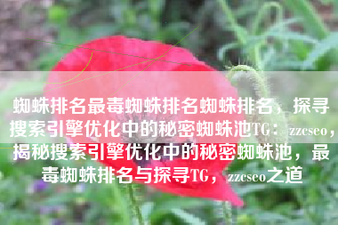 蜘蛛排名最毒蜘蛛排名蜘蛛排名，探寻搜索引擎优化中的秘密蜘蛛池TG：zzcseo，揭秘搜索引擎优化中的秘密蜘蛛池，最毒蜘蛛排名与探寻TG，zzcseo之道