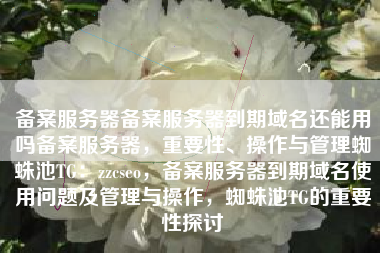 备案服务器备案服务器到期域名还能用吗备案服务器，重要性、操作与管理蜘蛛池TG：zzcseo，备案服务器到期域名使用问题及管理与操作，蜘蛛池TG的重要性探讨