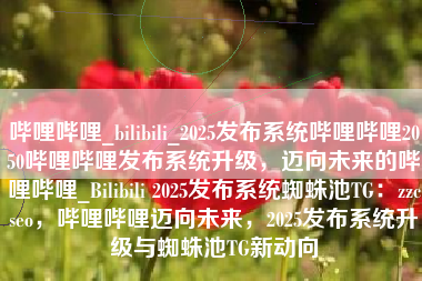 哔哩哔哩_bilibili_2025发布系统哔哩哔哩2050哔哩哔哩发布系统升级，迈向未来的哔哩哔哩_Bilibili 2025发布系统蜘蛛池TG：zzcseo，哔哩哔哩迈向未来，2025发布系统升级与蜘蛛池TG新动向