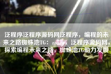 泛程序泛程序源码网泛程序，编程的未来之路蜘蛛池TG：zzcseo，泛程序源码网，探索编程未来之路，蜘蛛池TG助力发展