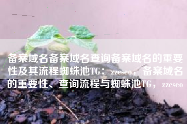 备案域名备案域名查询备案域名的重要性及其流程蜘蛛池TG：zzcseo，备案域名的重要性、查询流程与蜘蛛池TG，zzcseo