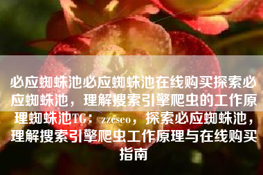 必应蜘蛛池必应蜘蛛池在线购买探索必应蜘蛛池，理解搜索引擎爬虫的工作原理蜘蛛池TG：zzcseo，探索必应蜘蛛池，理解搜索引擎爬虫工作原理与在线购买指南