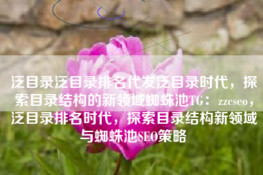 泛目录泛目录排名代发泛目录时代，探索目录结构的新领域蜘蛛池TG：zzcseo，泛目录排名时代，探索目录结构新领域与蜘蛛池SEO策略