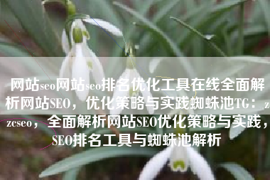 网站seo网站seo排名优化工具在线全面解析网站SEO，优化策略与实践蜘蛛池TG：zzcseo，全面解析网站SEO优化策略与实践，SEO排名工具与蜘蛛池解析